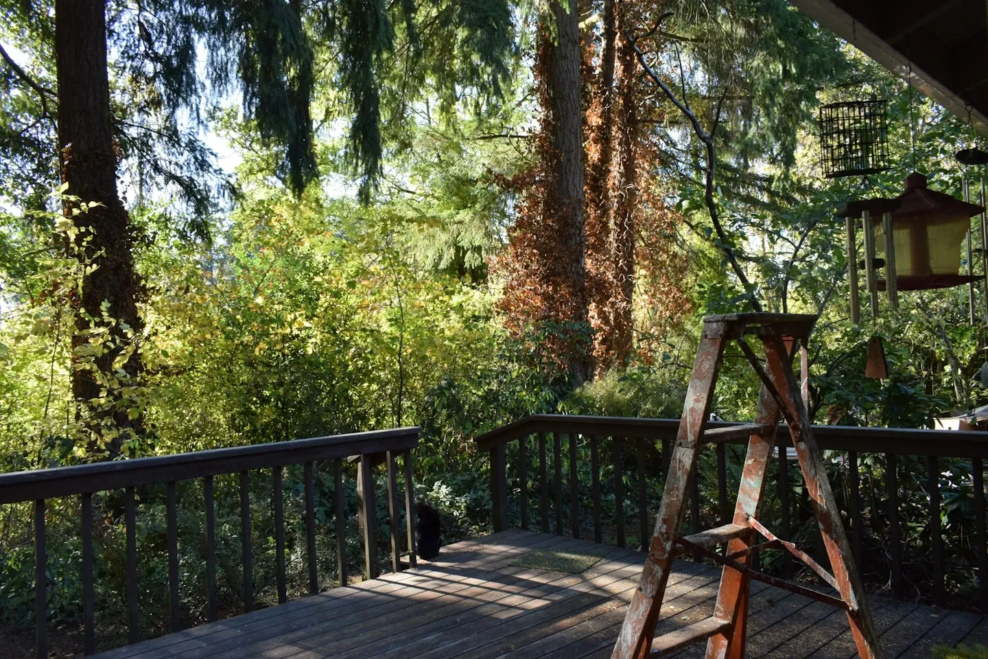 Premium composite deck with railings